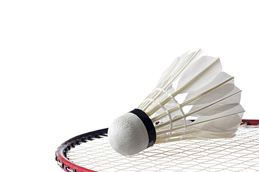 布季米尔的 布季米尔的