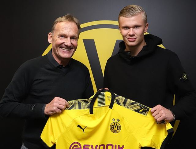 样本期过短 样本期过短