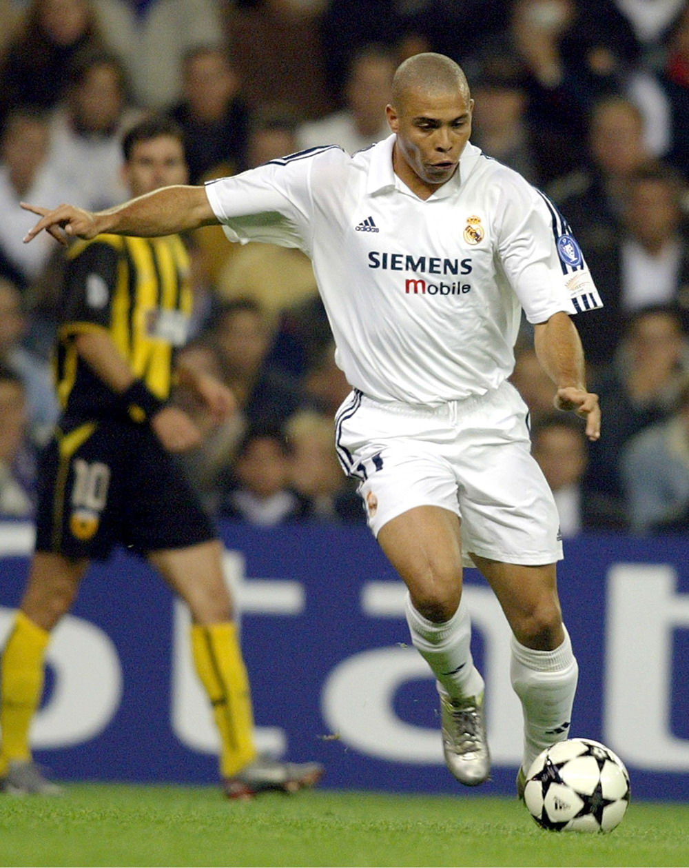 接班人的年 接班人的年